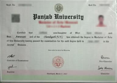 PU Degree Certificate